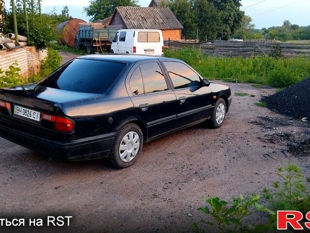 Ниссан Примера, объемом двигателя 2 л и пробегом 283 тыс. км за 599 $, фото 1 на Automoto.ua