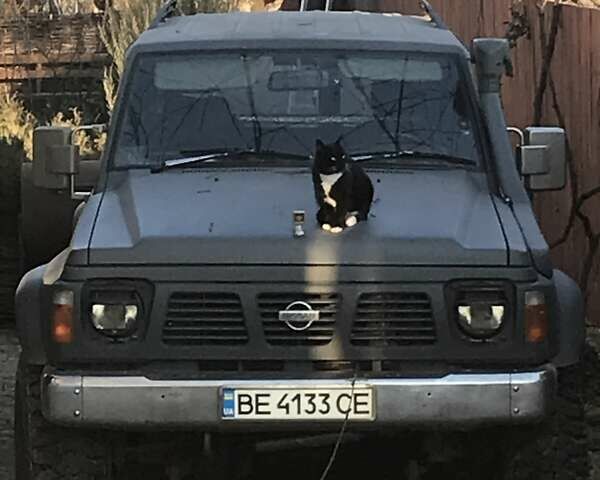 Серый Ниссан Сафари, объемом двигателя 4.2 л и пробегом 250 тыс. км за 13000 $, фото 1 на Automoto.ua