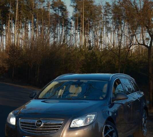 Серый Опель Инсигния, объемом двигателя 1.96 л и пробегом 290 тыс. км за 6600 $, фото 1 на Automoto.ua