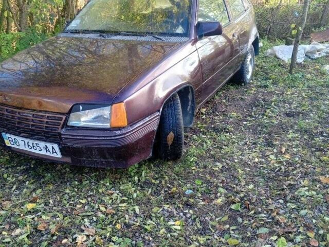 Червоний Опель Кадет, об'ємом двигуна 1.6 л та пробігом 250 тис. км за 501 $, фото 1 на Automoto.ua