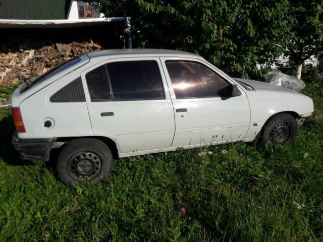 Серый Опель Кадет, объемом двигателя 1.3 л и пробегом 250 тыс. км за 450 $, фото 1 на Automoto.ua