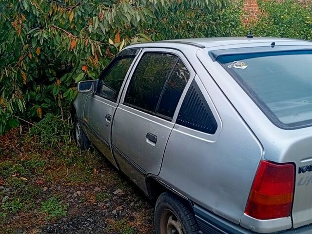 Серый Опель Кадет, объемом двигателя 1.3 л и пробегом 0 тыс. км за 700 $, фото 1 на Automoto.ua