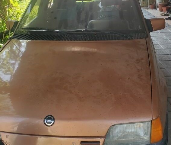 Серый Опель Кадет, объемом двигателя 1.3 л и пробегом 138 тыс. км за 662 $, фото 1 на Automoto.ua