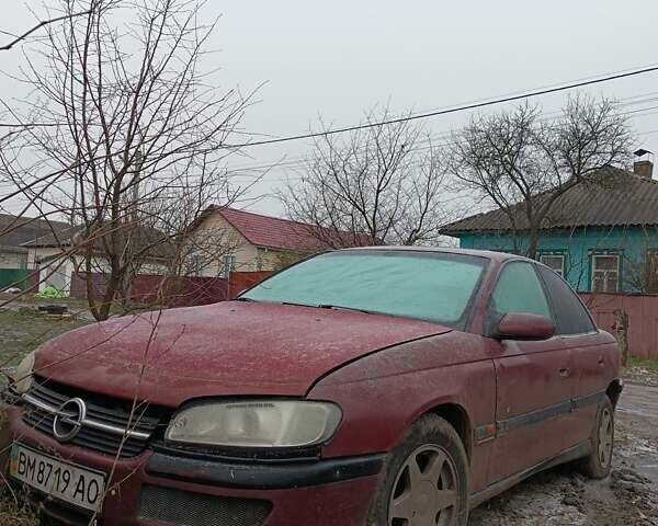 Опель Омега, объемом двигателя 2 л и пробегом 240 тыс. км за 1750 $, фото 1 на Automoto.ua