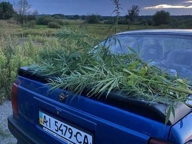 Синій Опель Омега, об'ємом двигуна 2 л та пробігом 251 тис. км за 1600 $, фото 1 на Automoto.ua