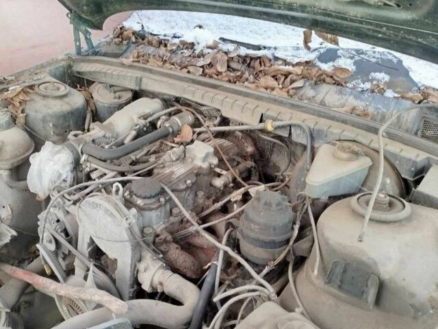 Зеленый Опель Омега, объемом двигателя 2 л и пробегом 150 тыс. км за 461 $, фото 1 на Automoto.ua