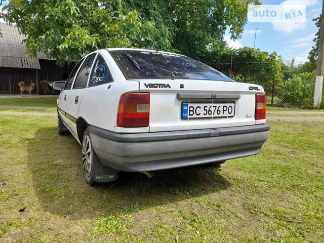 Опель Вектра 1989 в Стрые на Automoto.ua Белый Опель Вектра, объемом двигателя 1.6 л и пробегом 253 тыс. км за 1150 $, фото 1 на Automoto.ua