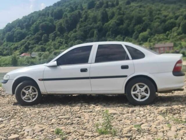 Белый Опель Вектра, объемом двигателя 1.8 л и пробегом 200 тыс. км за 2600 $, фото 1 на Automoto.ua