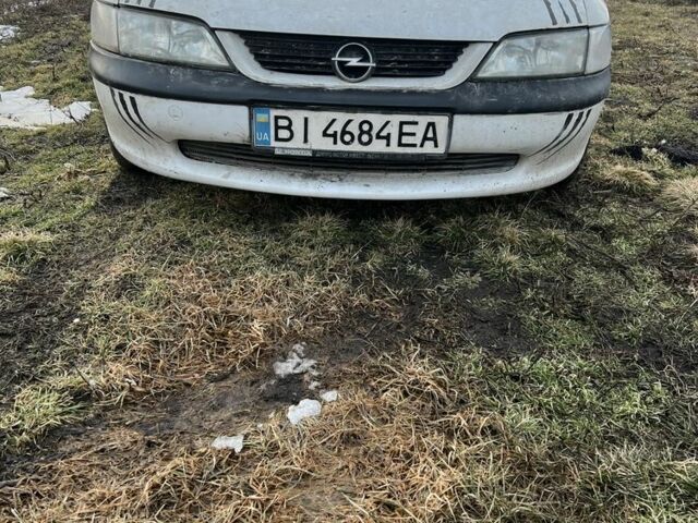 Белый Опель Вектра, объемом двигателя 1.6 л и пробегом 235 тыс. км за 1250 $, фото 1 на Automoto.ua