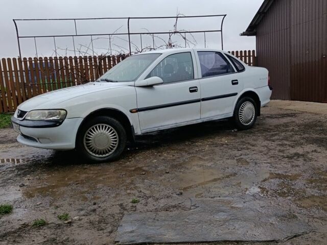 Белый Опель Вектра, объемом двигателя 2 л и пробегом 111 тыс. км за 1750 $, фото 1 на Automoto.ua