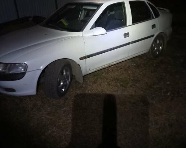 Белый Опель Вектра, объемом двигателя 1.8 л и пробегом 320 тыс. км за 2000 $, фото 1 на Automoto.ua