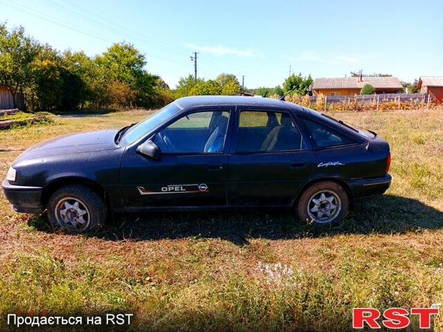 Опель Вектра 1989 в Богодухове на Automoto.ua Черный Опель Вектра, объемом двигателя 2 л и пробегом 0 тыс. км за 550 $, фото 1 на Automoto.ua