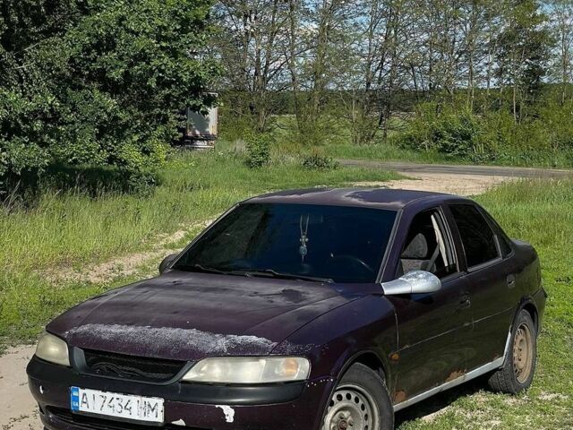 Фиолетовый Опель Вектра, объемом двигателя 1.8 л и пробегом 350 тыс. км за 1046 $, фото 1 на Automoto.ua