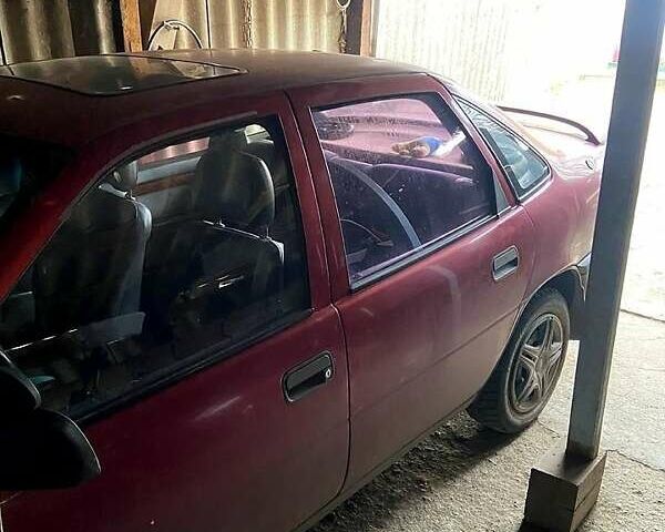 Красный Опель Вектра, объемом двигателя 2 л и пробегом 350 тыс. км за 900 $, фото 1 на Automoto.ua
