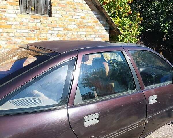 Червоний Опель Вектра, об'ємом двигуна 1.8 л та пробігом 200 тис. км за 966 $, фото 1 на Automoto.ua