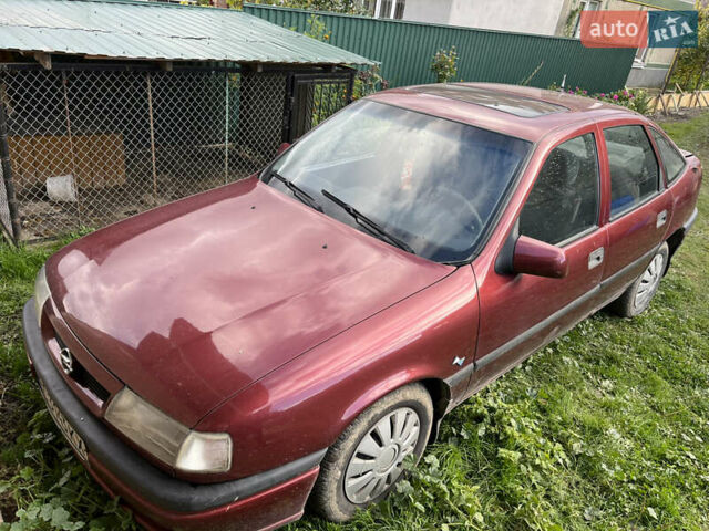 Красный Опель Вектра, объемом двигателя 1.6 л и пробегом 391 тыс. км за 900 $, фото 1 на Automoto.ua