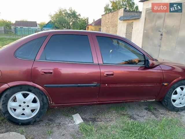 Опель Вектра, объемом двигателя 0 л и пробегом 310 тыс. км за 2968 $, фото 1 на Automoto.ua