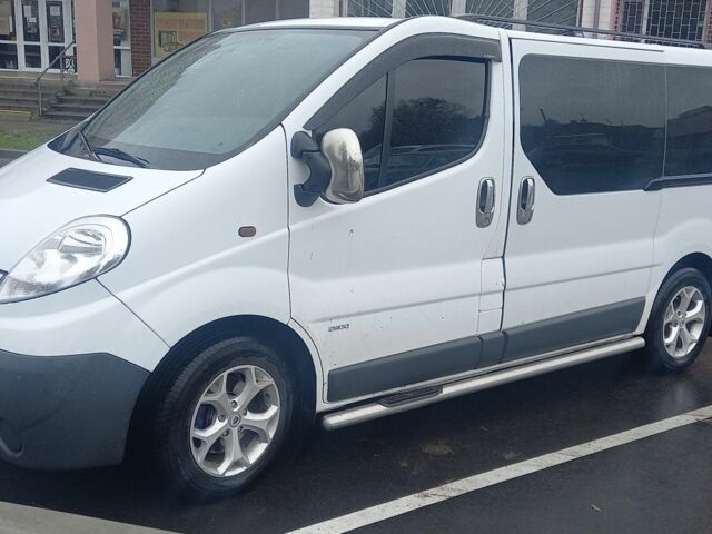Білий Опель Віваро, об'ємом двигуна 2 л та пробігом 260 тис. км за 11000 $, фото 1 на Automoto.ua