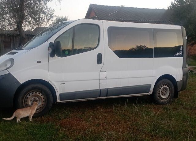 Білий Опель Віваро, об'ємом двигуна 1.9 л та пробігом 3 тис. км за 5200 $, фото 1 на Automoto.ua