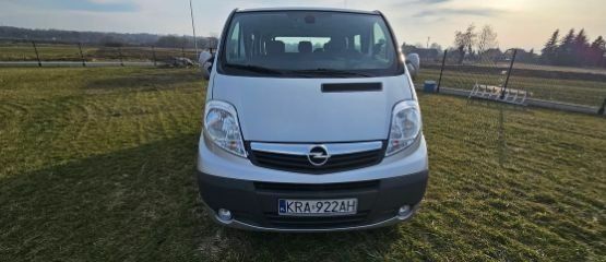Серый Опель Виваро, объемом двигателя 2 л и пробегом 280 тыс. км за 6900 $, фото 1 на Automoto.ua