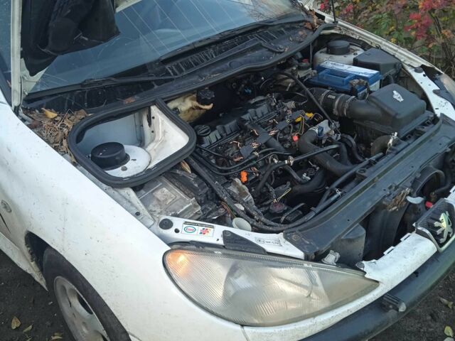 Белый Пежо 206, объемом двигателя 2 л и пробегом 345 тыс. км за 310 $, фото 1 на Automoto.ua