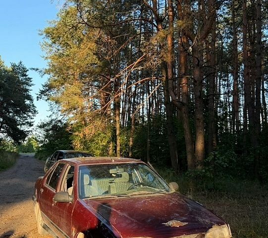 Красный Рено 19, объемом двигателя 1.4 л и пробегом 350 тыс. км за 450 $, фото 1 на Automoto.ua