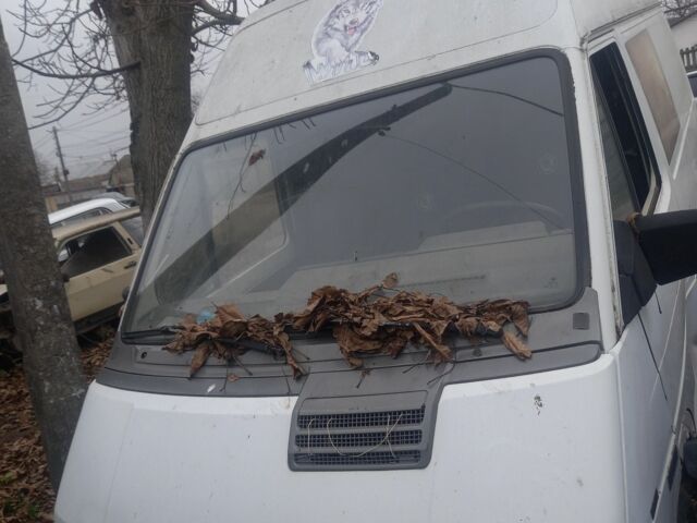 Белый Рено 5, объемом двигателя 1 л и пробегом 200 тыс. км за 477 $, фото 1 на Automoto.ua