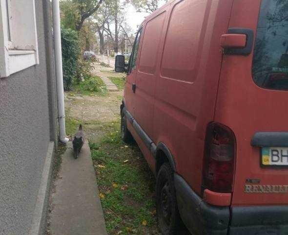 Рено Інша, об'ємом двигуна 0 л та пробігом 0 тис. км за 2000 $, фото 1 на Automoto.ua