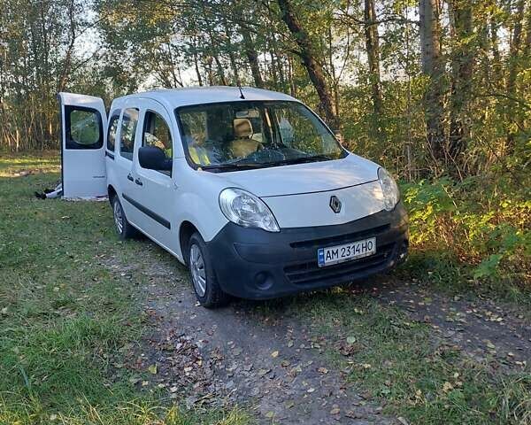Белый Рено Кенгу, объемом двигателя 1.46 л и пробегом 300 тыс. км за 5600 $, фото 1 на Automoto.ua