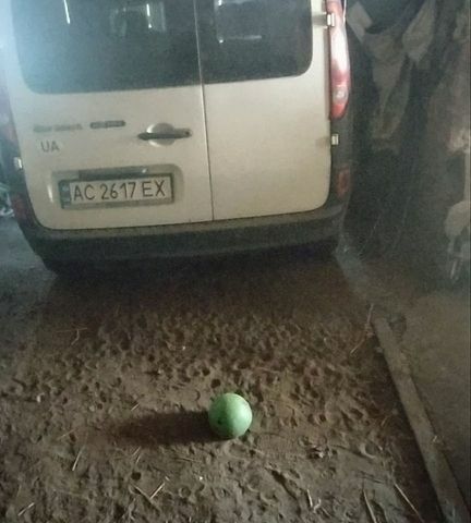 Белый Рено Кенгу, объемом двигателя 1.46 л и пробегом 405 тыс. км за 5450 $, фото 1 на Automoto.ua