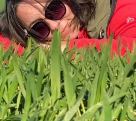 Зеленый Рено Лагуна, объемом двигателя 1.8 л и пробегом 300 тыс. км за 880 $, фото 1 на Automoto.ua