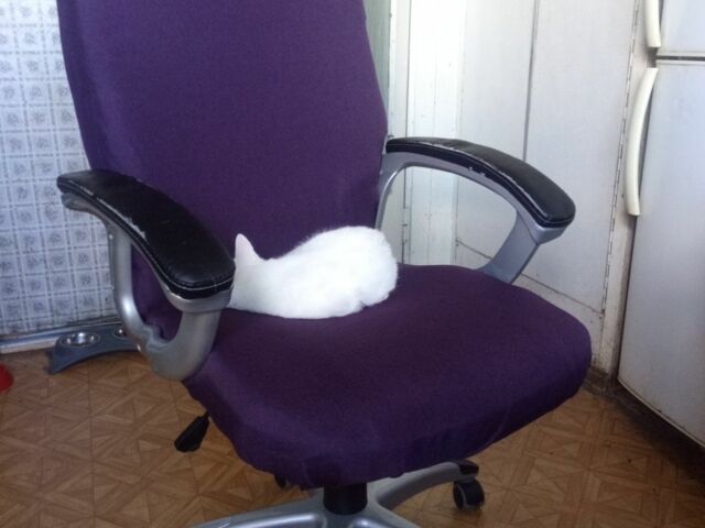 Сірий Рено Меган, об'ємом двигуна 0 л та пробігом 247 тис. км за 4200 $, фото 1 на Automoto.ua