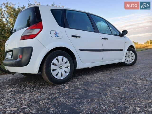 Білий Рено Сценік, об'ємом двигуна 1.46 л та пробігом 300 тис. км за 4250 $, фото 1 на Automoto.ua