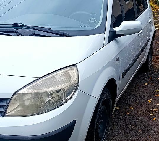 Рено Сценік 2006 у Синельниковом на Automoto.ua Білий Рено Сценік, об'ємом двигуна 1.5 л та пробігом 250 тис. км за 5500 $, фото 1 на Automoto.ua
