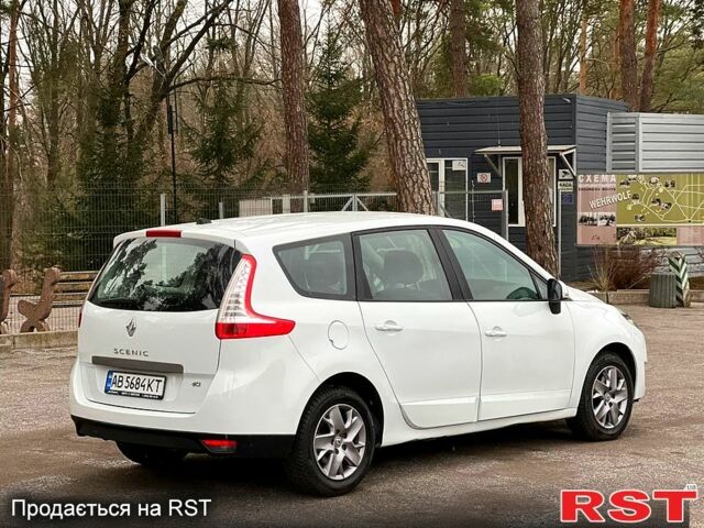 Белый Рено Сценик, объемом двигателя 1.5 л и пробегом 24300 тыс. км за 7500 $, фото 1 на Automoto.ua