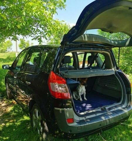 Чорний Рено Сценік, об'ємом двигуна 1.6 л та пробігом 250 тис. км за 3800 $, фото 1 на Automoto.ua