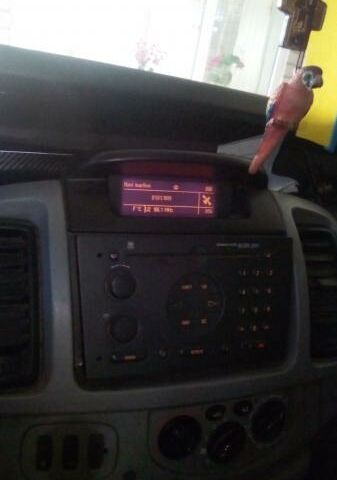 Білий Рено Трафік вант-пас., об'ємом двигуна 2 л та пробігом 210 тис. км за 5555 $, фото 1 на Automoto.ua