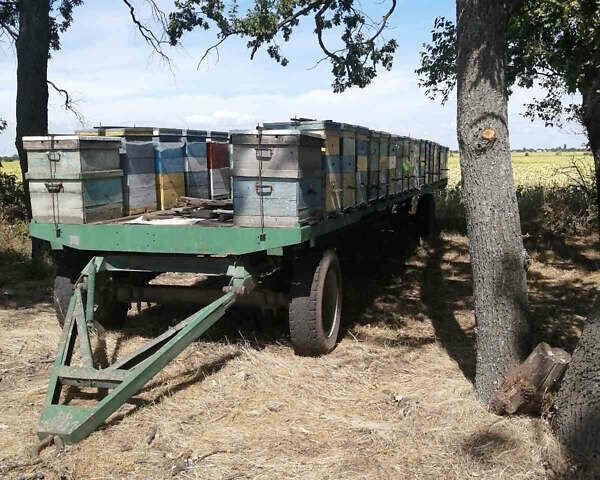 Самодельный Саморобний причіп, объемом двигателя 0 л и пробегом 0 тыс. км за 1558 $, фото 1 на Automoto.ua