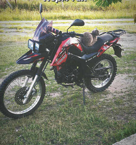 Шанрай X-Trail 200, объемом двигателя 0.2 л и пробегом 8 тыс. км за 950 $, фото 1 на Automoto.ua