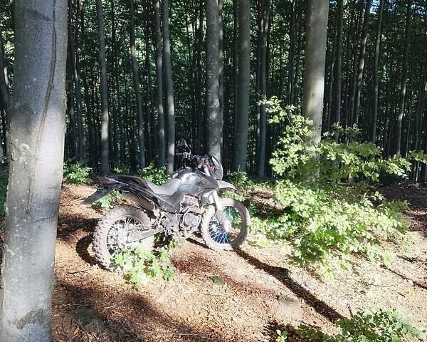 Шанрай X-Trail 200, объемом двигателя 0 л и пробегом 200 тыс. км за 606 $, фото 1 на Automoto.ua