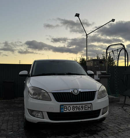 Белый Шкода Фабия, объемом двигателя 1.6 л и пробегом 294 тыс. км за 4700 $, фото 1 на Automoto.ua