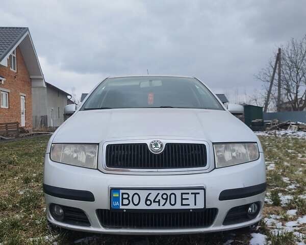 Шкода Фабия, объемом двигателя 1.39 л и пробегом 174 тыс. км за 4100 $, фото 1 на Automoto.ua