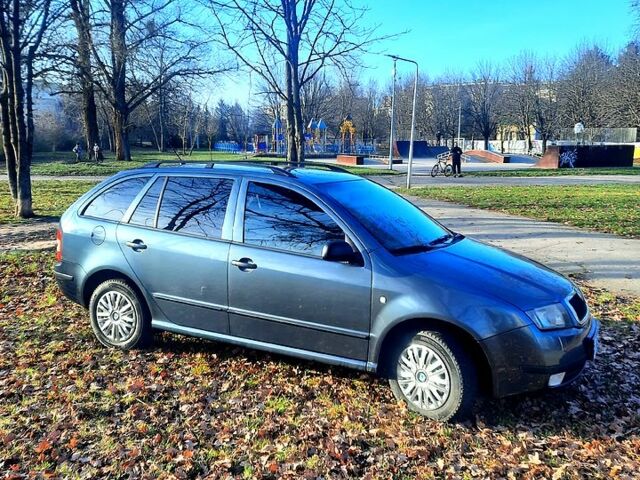 Шкода Фабия, объемом двигателя 1.4 л и пробегом 249 тыс. км за 4150 $, фото 1 на Automoto.ua