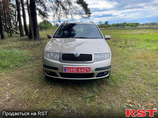 Шкода Фабия, объемом двигателя 1.4 л и пробегом 240 тыс. км за 4500 $, фото 1 на Automoto.ua