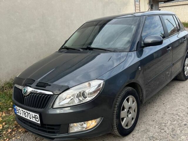 Серый Шкода Фабия, объемом двигателя 1.2 л и пробегом 185 тыс. км за 4899 $, фото 1 на Automoto.ua