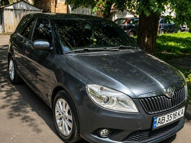 Серый Шкода Фабия, объемом двигателя 1.6 л и пробегом 237 тыс. км за 6500 $, фото 1 на Automoto.ua