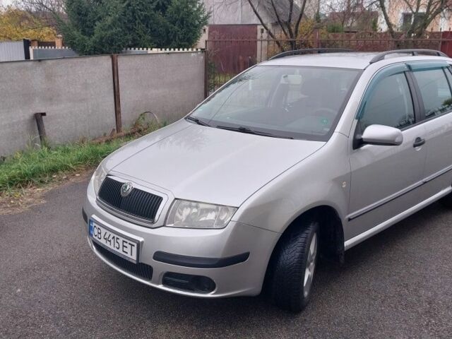 Серый Шкода Фабия, объемом двигателя 1.4 л и пробегом 163 тыс. км за 5750 $, фото 1 на Automoto.ua