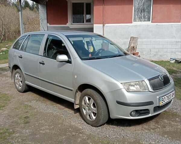 Сірий Шкода Фабія, об'ємом двигуна 1.4 л та пробігом 195 тис. км за 4200 $, фото 1 на Automoto.ua