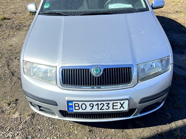 Серый Шкода Фабия, объемом двигателя 1.4 л и пробегом 210 тыс. км за 3600 $, фото 1 на Automoto.ua