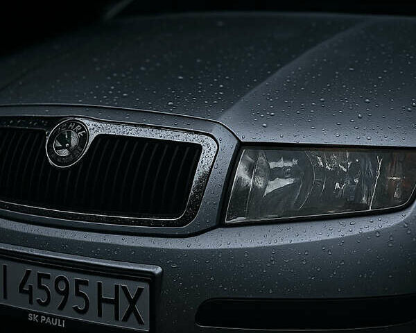 Серый Шкода Фабия, объемом двигателя 1.39 л и пробегом 212 тыс. км за 4600 $, фото 1 на Automoto.ua